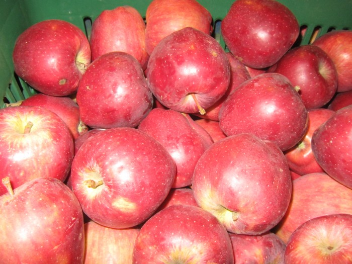 μηλοπαραγωγοί Αρκαδία 