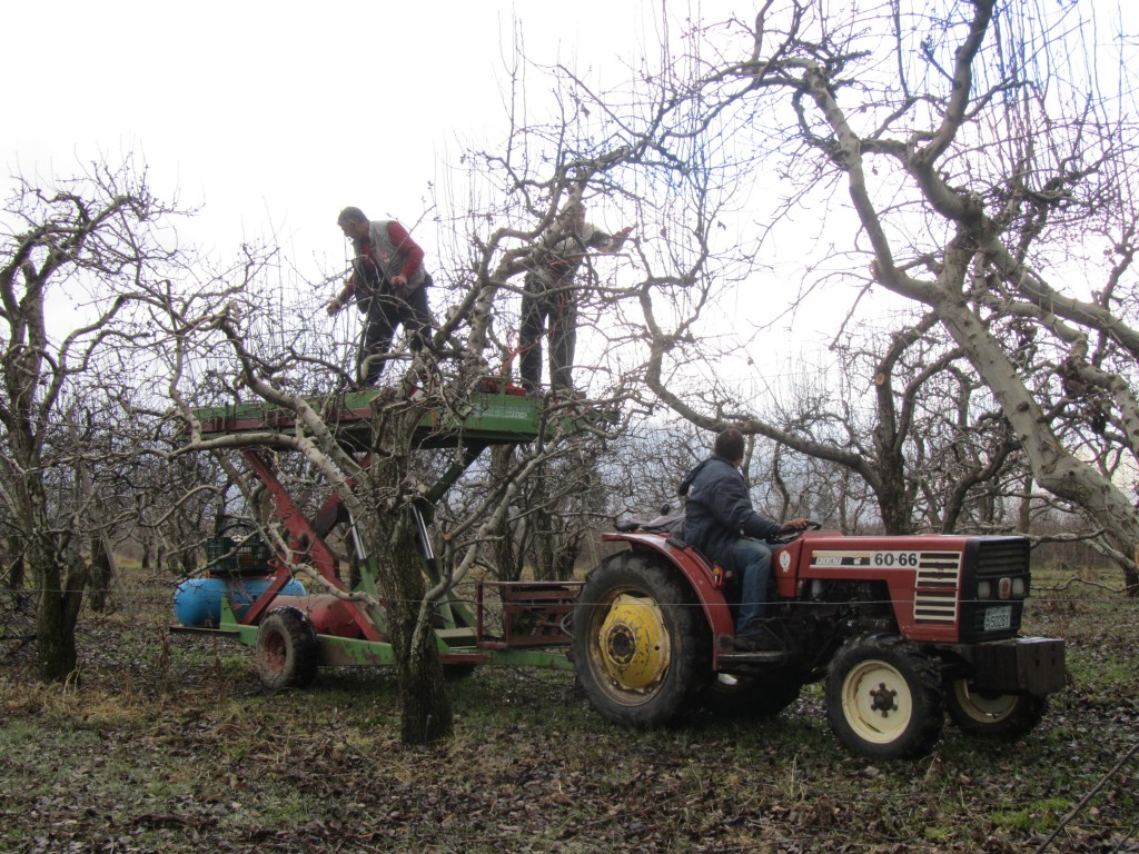 Η «Ύπαιθρος Χώρα» στην Αρκαδία 