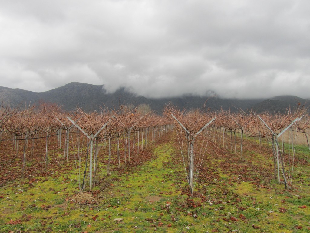 Η «Ύπαιθρος Χώρα» στην Αρκαδία 