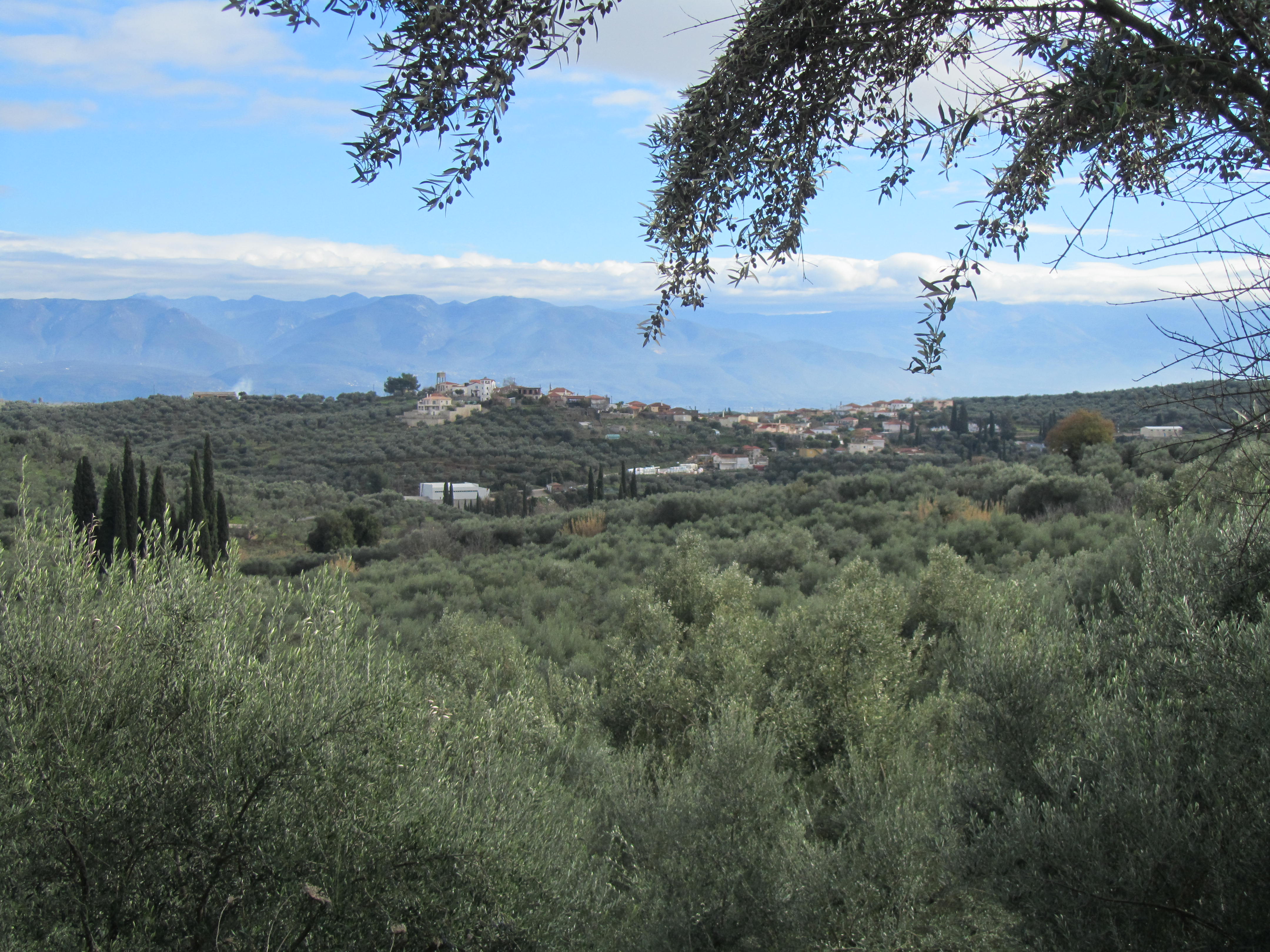 Η Ύπαιθρος Χώρα στην Μεσσηνία