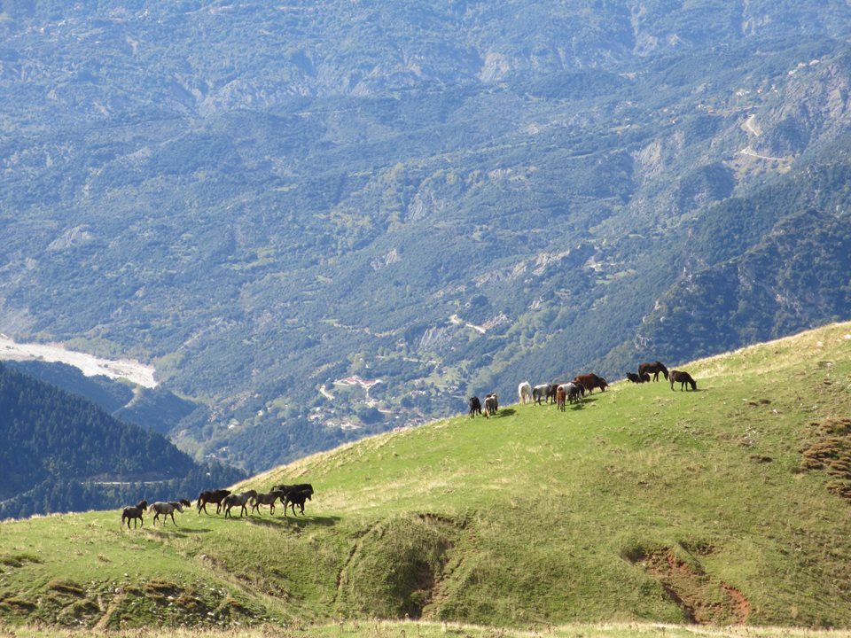 Το καταφύγιο του Χρόνου