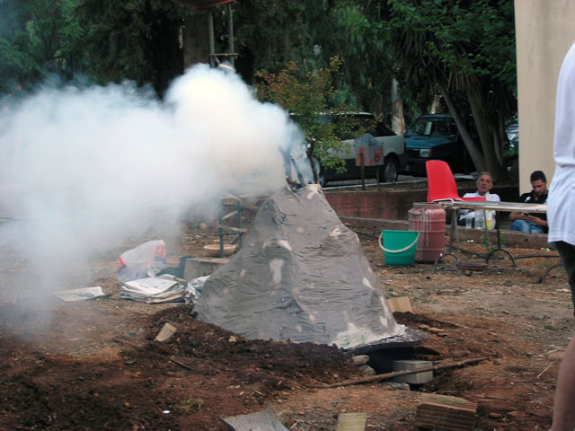 Καλλιτεχνικό Χωριό Βερέκυνθος: Μεταξύ τέχνης και γης