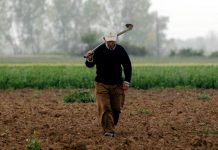 Στα 486 ευρώ το κατώτερο ασφαλιστικό κλιμάκιο για τους αγρότες από το επόμενο έτος
