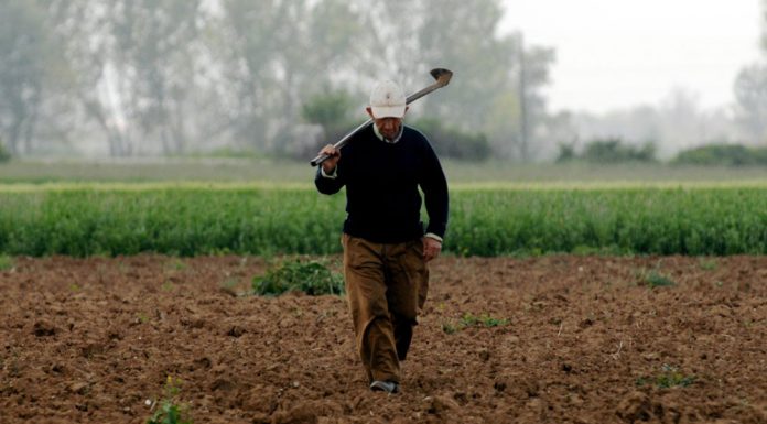 Στα 486 ευρώ το κατώτερο ασφαλιστικό κλιμάκιο για τους αγρότες από το επόμενο έτος