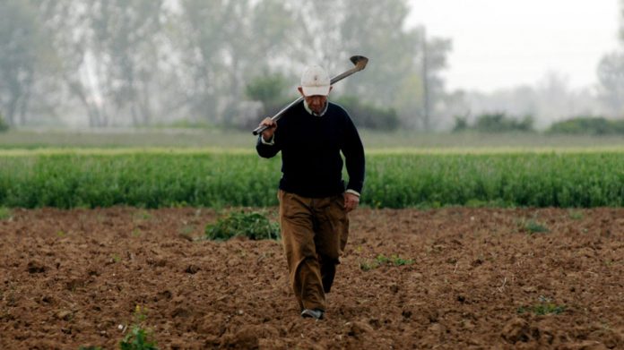 Στα 486 ευρώ το κατώτερο ασφαλιστικό κλιμάκιο για τους αγρότες από το επόμενο έτος