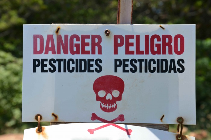erevna-kolafos-gia-ta-zizanioktonato-glyphosate-schetizetai-me-tin-karkinogenesi-12424