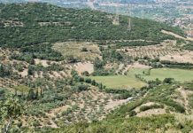Προστασία της γεωργικής γης υψηλής παραγωγικότητας ζητάει το ΓΕΩΤΕΕ Κεντρικής Μακεδονίας