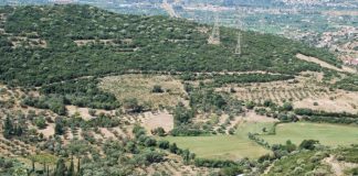 Προστασία της γεωργικής γης υψηλής παραγωγικότητας ζητάει το ΓΕΩΤΕΕ Κεντρικής Μακεδονίας