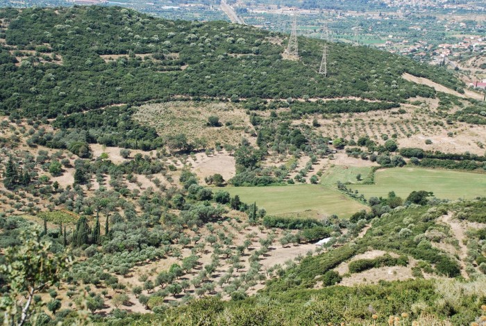 alaloum-me-tis-dasikes-kai-georgikes-ektaseis-13827