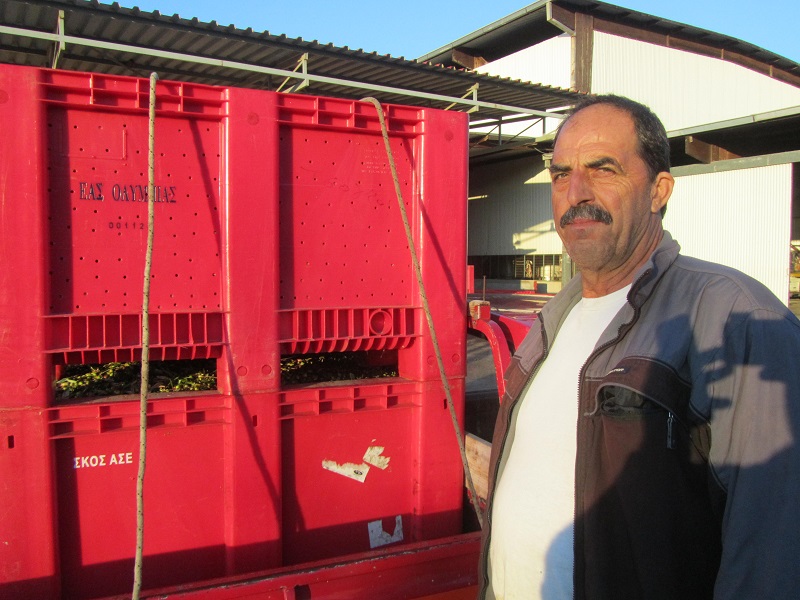 συνεταιριστικό ελαιοτριβείο στην Ζαχάρω