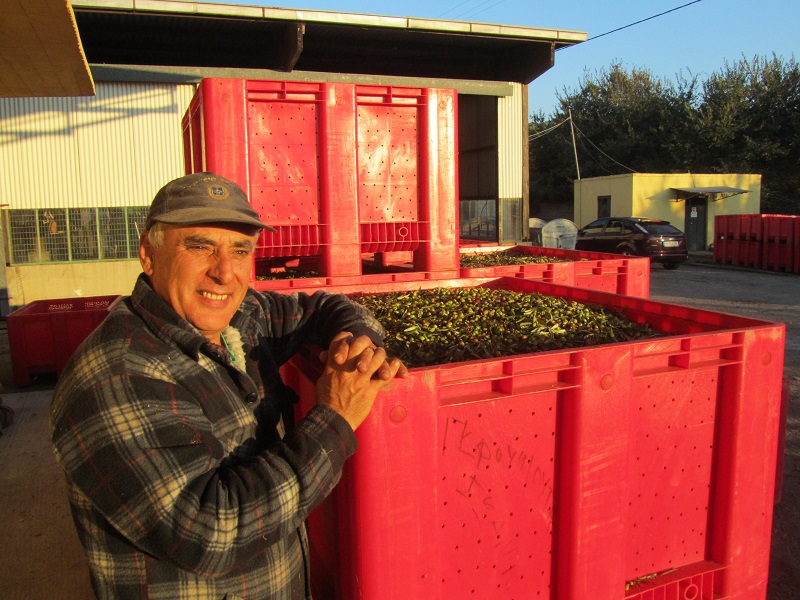 συνεταιριστικό ελαιοτριβείο στην Ζαχάρω