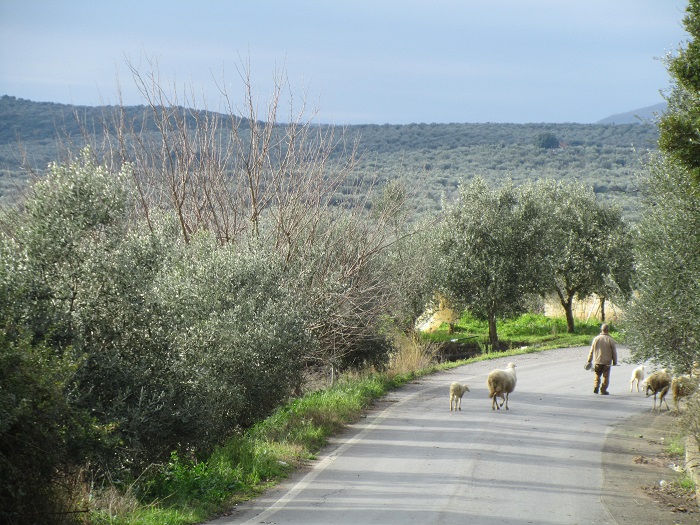 Η Ύπαιθρος Χώρα στην Μεσσηνία