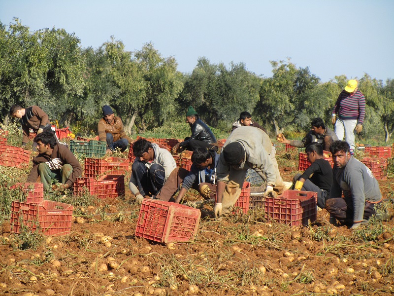 χωριό Βάρδα Ηλεία