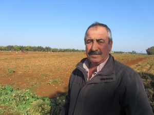 Η περιοχή είναι η μοναδική στην Ελλάδα που γίνονται δύο καλλιέργειες  H «ΥΧ» βρέθηκε στο χωριό Βάρδα, στο χωράφι, για να μιλήσει με τους παραγωγούς, αλλά και να δει τη διαδικασία συγκομιδής της πατάτας. Για την οικογένεια Κούγια, το μάζεμα της πατάτας είναι... οικογενειακή υπόθεση. Από τον 80χρονο παππού, που βρίσκεται ακόμη στο χωράφι, τους δύο γιους παραγωγούς, αλλά και τα 16χρονα παιδιά, σε ρόλο οδηγών τρακτέρ, όλοι στη συγκομιδή. Και επειδή τα χώματα της περιοχής είναι σκληρά για να χρησιμοποιηθούν ειδικά μηχανήματα, το χέρι και σε αυτή την περίπτωση δεν λείπει.  Η παραγωγή φέτος είχε ξεκινήσει με καλούς οιωνούς, όπως η αυξημένη τιμή, αλλά και οι αυξημένες ποσότητες που θα έδινε. Όμως, οι πλημμύρες του Οκτώβρη οδήγησαν στη μειωμένη παραγωγή. Η περιοχή είναι η μοναδική στην Ελλάδα, όπως μας λέει ο Σπύρος Κούγιας, μέλος του ΔΣ του Συλλόγου Πατατοπαραγωγών Ηλείας, που γίνονται δύο καλλιέργειες. Πρόκειται για μία συγκομιδή που ξεκινά στις αρχές Μάη και τελειώνει μέχρι το τέλος Ιούνη, και μία στα τέλη Οκτώβρη, η οποία ολοκληρώνεται μέχρι τις 20 Γενάρη. Η χειμωνιάτικη συγκομιδή είναι για εσωτερική κατανάλωση, ενώ της καλοκαιρινής περιόδου, ένα μεγάλο ποσοστό πηγαίνει στις εξαγωγές. Η τιμή της πατάτας, σύμφωνα με τον Σπ. Κούγια, είναι σταθερή και φτάνει, κατά μέσο όρο, περίπου τα 25 λεπτά το κιλό.   Ένα από τα σοβαρά προβλήματα που αντιμετωπίζουν, όπως μας εξηγεί ο Σπ. Κούγιας, είναι το μεγάλο κόστος παραγωγής, για το οποίο «ευθύνονται διάφοροι μεσάζοντες, αυξάνοντας την τιμή του πατατόσπορου. Η τιμή του ξεκινά στα 50 λεπτά και πουλιέται εδώ στον παραγωγό στο 1,20 και στο 1,30 ευρώ το κιλό. Μόνο από αυτό ανεβαίνει το κόστος παραγωγής ακόμη 200 ευρώ το στρέμμα, με συνολικό κόστος ανά στρέμμα τα 700 ευρώ». Ο ίδιος, ως παραγωγός 300 στρεμμάτων, αν και θα έχει παραγωγή περίπου 1,5 τόνου, μας λέει ότι «φέτος ειδικά δεν βγαίνει τίποτε. Για αυτή την παραγωγή, που βλέπετε εδώ και είναι περίπου στον 1,5 τόνο, είμαι σίγουρα μέσα στα 100 ευρώ το στρέμμα. Υπάρχει, όμως, περίπτωση να αποζημιωθούμε λόγω των καταστροφών, που πάθαμε από τις πλημμύρες».  Το μεγαλύτερο πλήγμα, όμως, που αφορά τις πατάτες γενικά της χώρας και όχι μόνο της Ηλείας, κατά τον Σπ. Κούγια, είναι η ελληνοποίησή τους, πράγμα που αποτέλεσε «τον θάνατο της πατάτας. Εδώ στην Ηλεία και τη Δυτική Αχαΐα καλλιεργούσαμε 35.000 στρέμματα ανά σεζόν και τώρα έχουμε πέσει κάτω από 10.000 στρέμματα. Η πτώση αυτή έγινε τα τελευταία 15 χρόνια. Έρχονται στη χώρα περίπου 30% γαλλικές πατάτες και πωλούνται ως ελληνικές. Αυτό συμβαίνει, μάλιστα, τη στιγμή που η πατάτα είναι ένα προϊόν που προχωράει μόνο του, χωρίς επιδοτήσεις».  Ο παραγωγός Ηρακλής Κούγιας εστιάζει στην καταστροφή που έπαθαν από τις πλημμύρες και τη ζημιά που υπέστησαν, διευκρινίζοντας ότι «φέτος, που έχουμε καλή τιμή στην πατάτα (πάνω από 30 λεπτά το κιλό), δεν έχουμε παραγωγή. Πέρσι ξεκίνησε από 22 λεπτά και έφτασε 30 λεπτά το κιλό».