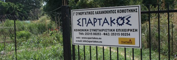 Ροδόπη δίκκοκο Ροδόπη δίκκοκο ΣΠΑΡΤΑΚΟΣ