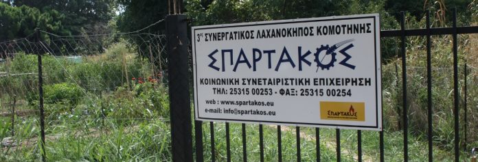 Ροδόπη δίκκοκο ΣΠΑΡΤΑΚΟΣ