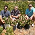 Το «πρωτέα» κερδίζει έδαφος λόγω αποδόσεων και τιμών 