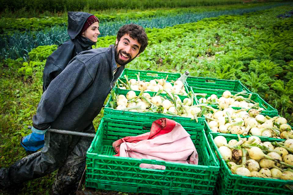 Η νέα μόδα: Διακοπές σε οργανικές φάρμες!