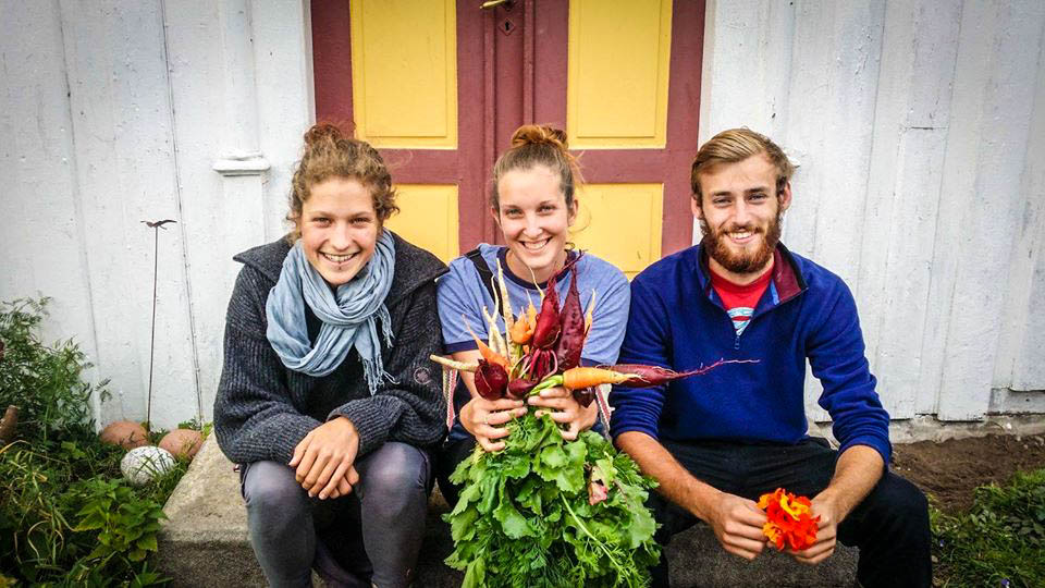 Η νέα μόδα: Διακοπές σε οργανικές φάρμες!