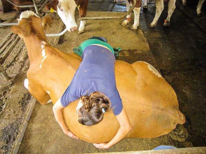 Η νέα μόδα: Διακοπές σε οργανικές φάρμες!