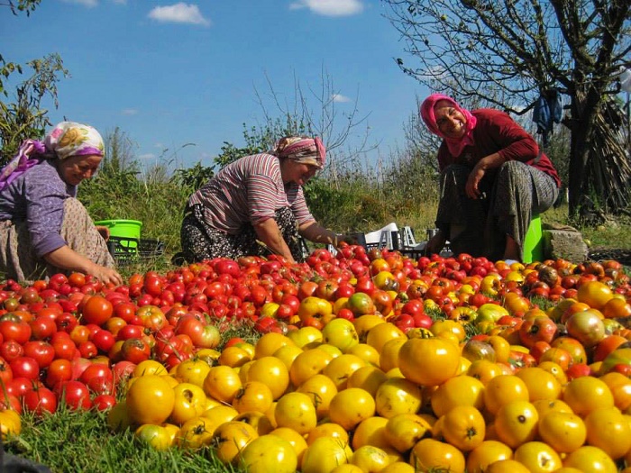 Η νέα μόδα: Διακοπές σε οργανικές φάρμες!