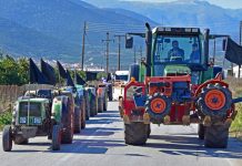 Σε πλήρη ανάπτυξη ο σχεδιασμός των αγροτών της Κεντρικής Μακεδονίας