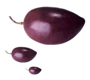 anekplirotes-epithymies-stin-elia-kalamon-18017