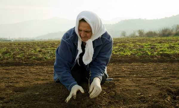 opeka-tin-paraskevi-27-12-to-epidoma-se-polyteknes-kai-triteknes-agrotisses-17222