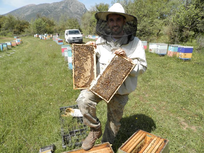 Πανευρωπαϊκή έρευνα για τη μελισσοκομία