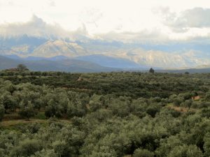 Συμφωνία Enterprise Greece και Επιμελητηρίου Λακωνίας για την προώθηση λακωνικών προϊόντων