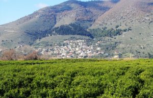 Η «Ύπαιθρος Χώρα» στη Θεσπρωτία