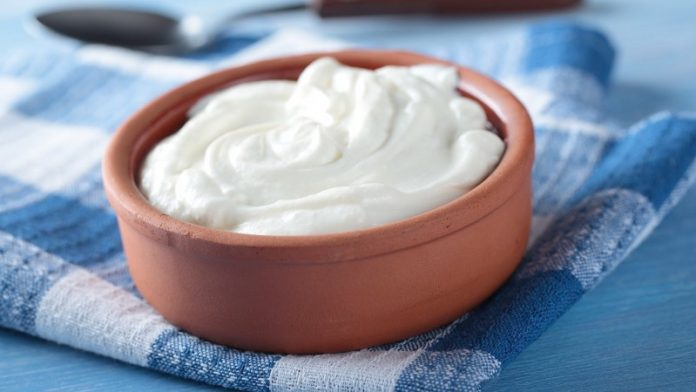 Έλληνας της διασποράς ανακάλυψε ότι τα προβιοτικά καταπολεμούν το ηπατοκυτταρικό καρκίνωμα Έλληνας της διασποράς ανακάλυψε ότι τα προβιοτικά καταπολεμούν το ηπατοκυτταρικό καρκίνωμα