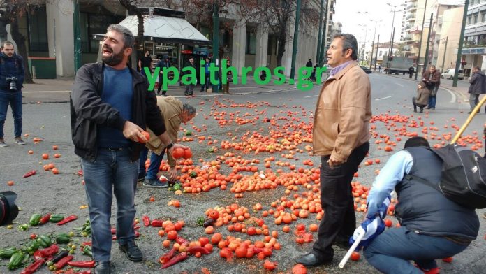 ντομάτες αγρότες