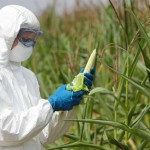 Η ζημία της Ελλάδας από την κλιματική αλλαγή είναι διπλάσια από το δημόσιο χρέος