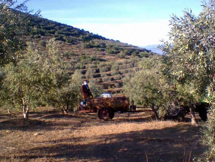 Το Google Earth κατά του δάκου