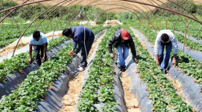 . Αποστόλου για εργόσημο: Όταν ο λαϊκισμός γίνεται διαβατήριο για τα ξενοφοβικά αντανακλαστικά . Αποστόλου για εργόσημο: Όταν ο λαϊκισμός γίνεται διαβατήριο για τα ξενοφοβικά αντανακλαστικά