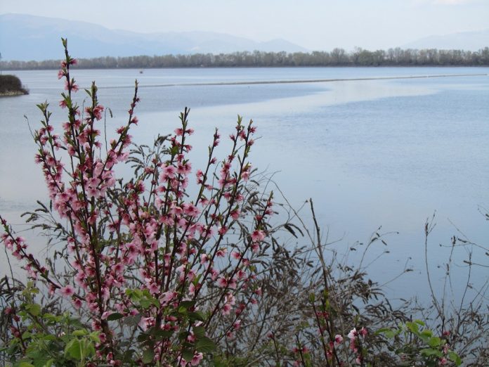 Απαγόρευση ενάσκησης αλιείας στη λίμνη Κερκίνη από 1/4