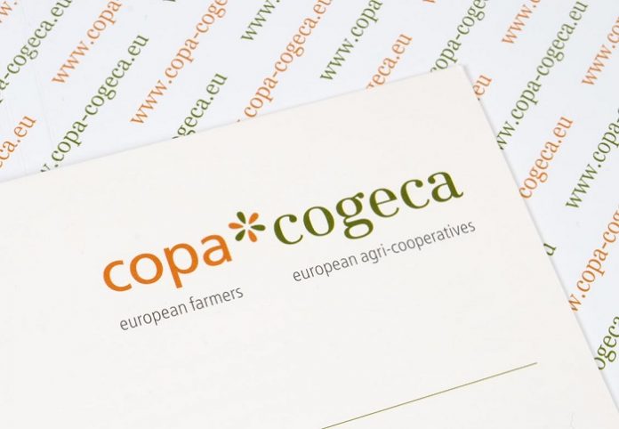 copa-corega