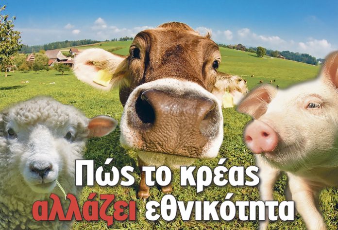 Oργιάζει η νοθεία στα κτηνοτροφικά προϊόντα Oργιάζει η νοθεία στα κτηνοτροφικά προϊόντα