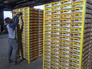 Εργασιακό και capital controls  τροχοπέδη για τη φράουλα