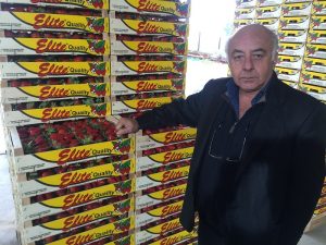 Εργασιακό και capital controls  τροχοπέδη για τη φράουλα