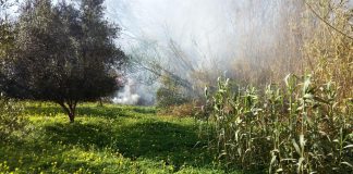 Μέσα σε 3 ημέρες 60 πυρκαγιές στην Ηλεία. Αιτία η καύση υπολειμμάτων γεωργικών καλλιεργειών