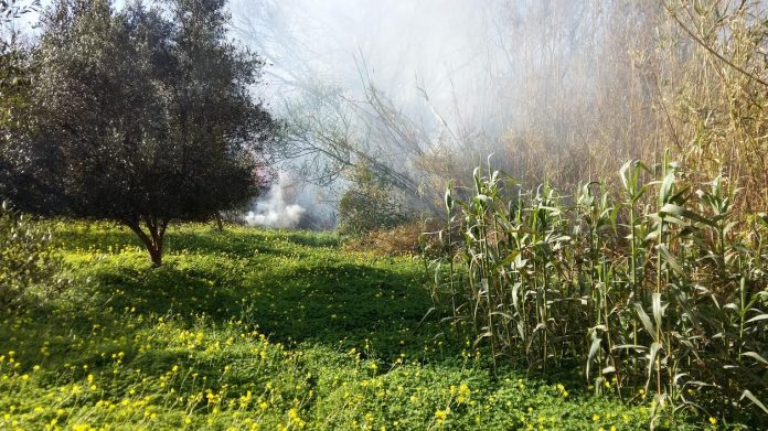 Μέσα σε 3 ημέρες 60 πυρκαγιές στην Ηλεία. Αιτία η καύση υπολειμμάτων γεωργικών καλλιεργειών Μέσα σε 3 ημέρες 60 πυρκαγιές στην Ηλεία. Αιτία η καύση υπολειμμάτων γεωργικών καλλιεργειών