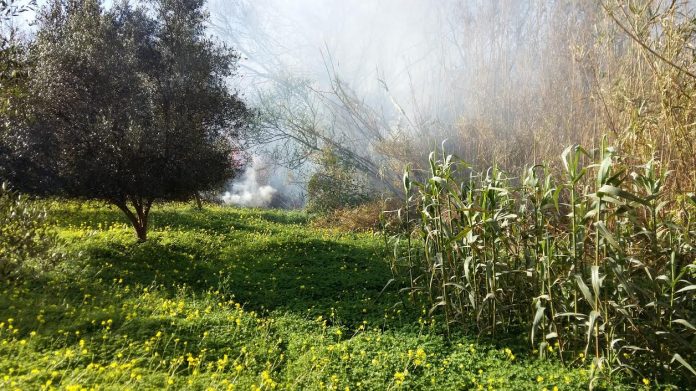 Μέσα σε 3 ημέρες 60 πυρκαγιές στην Ηλεία. Αιτία η καύση υπολειμμάτων γεωργικών καλλιεργειών