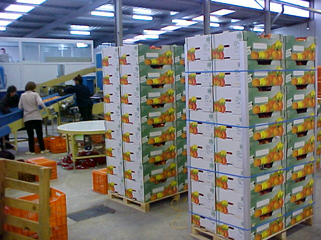 incofruit-oi-chores-ton-valkanion-tha-apoteloun-panta-ton-kyrio-paralipti-ton-oporokipeftikon-proionton-mas-20557