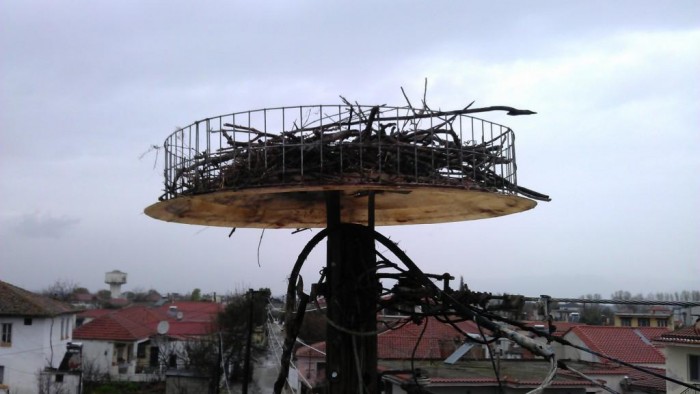 oi-protoi-lefkoi-pelargoi-sto-epamath-22931