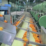 Το πρόσηµο εξωστρέφειας της GAIA ΕΠΙΧΕΙΡΕΙΝ ΑΕ