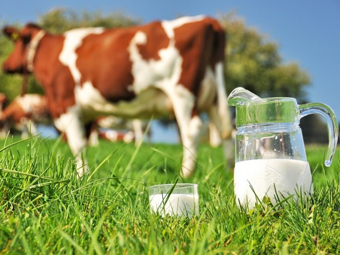 Μειώνουν τα συμβόλαια με τους κτηνοτρόφους οι γαλατοβιομηχανίες