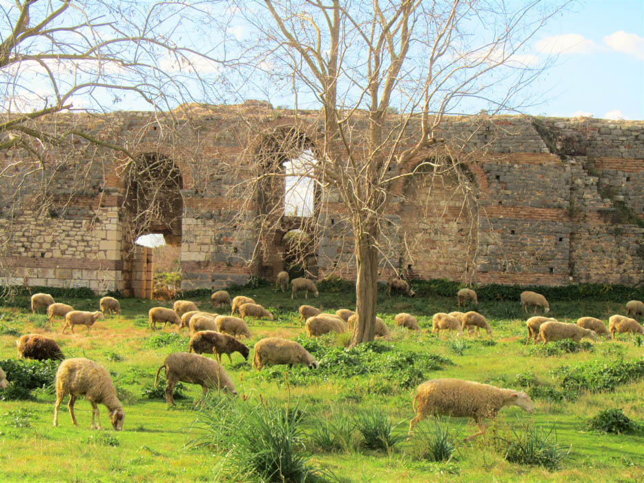 Η «Ύπαιθρος Χώρα» στην Πρέβεζα