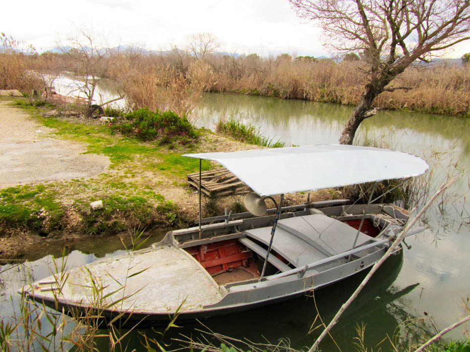 Η «Ύπαιθρος Χώρα» στην Πρέβεζα